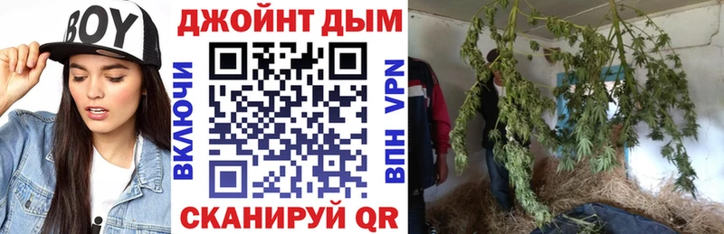 Марихуана сатива blacksprut ТОР Киселёвск